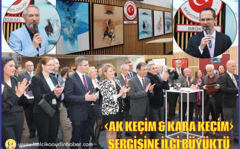 â€˜AK KEÇİM & KARA KEÇİMâ€™ RESİM SERGİSİ BRÜKSELâ€™DE SERGİLENİYOR