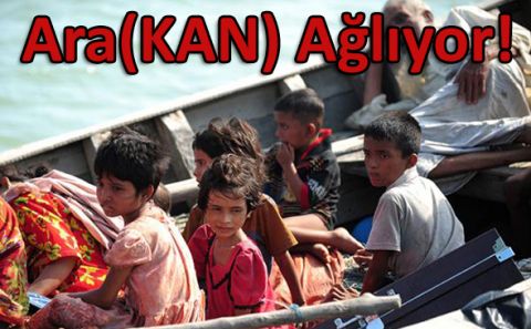 BM'den Arakan açıklaması