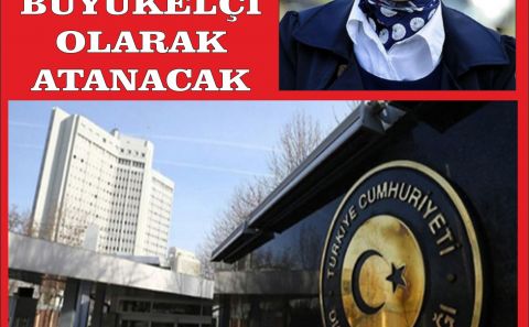 Mahinur Özdemir büyükelçi oldu