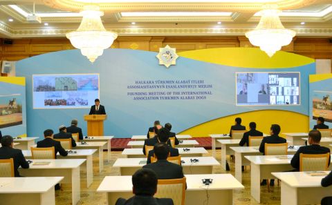 A constituent meeting of the Association 