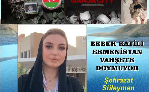 'BEBEK KATİLİ  ERMENİSTAN VAHŞETE DOYMUYOR' / Şehrazat Süleyman / Araştırmacı-Yazar