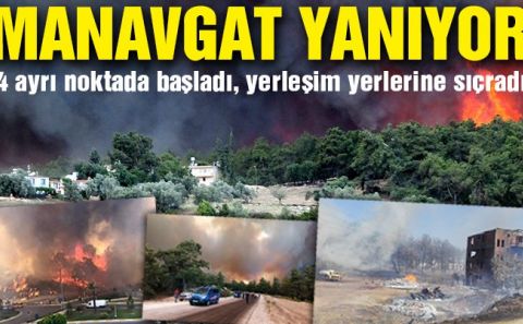 Manavgatâ€™ta büyük orman yangını